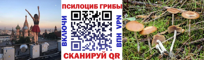 Псилоцибиновые грибы мицелий Тотьма