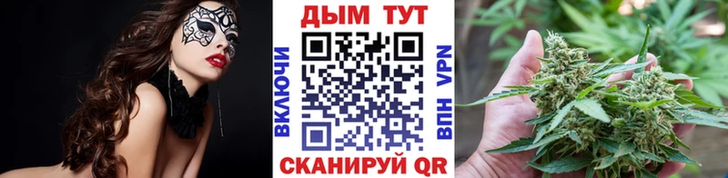 Каннабис MAZAR Тотьма